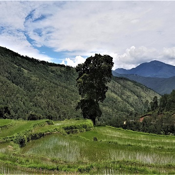 Bhutan Culture & Nature Tour